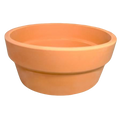 Cajete de Tulipán