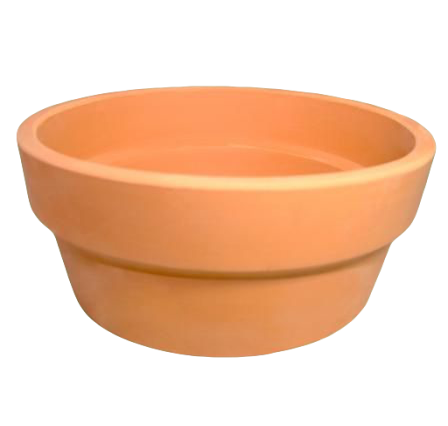 Cajete de Tulipán