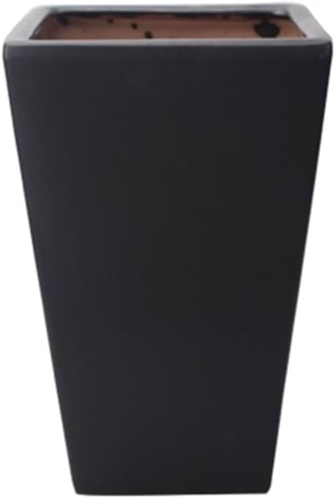 Paraguero