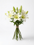 Azucena (Lilium
candidum)
