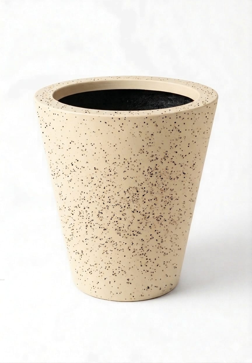 Cono