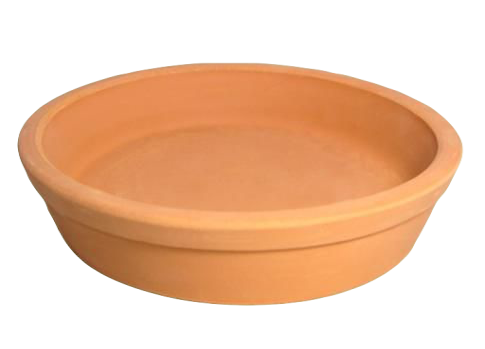 Plato base